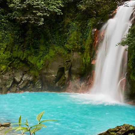 Myra Chalets Bijagua Bagian luar foto