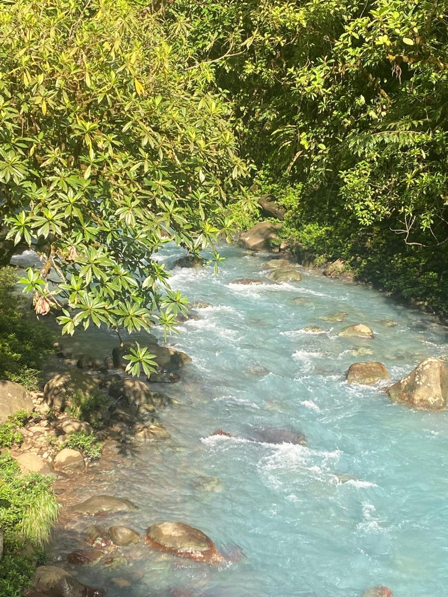 Myra Chalets Bijagua Bagian luar foto