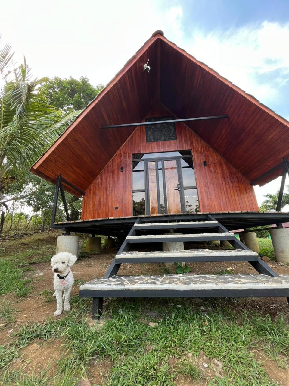 Myra Chalets Bijagua Bagian luar foto
